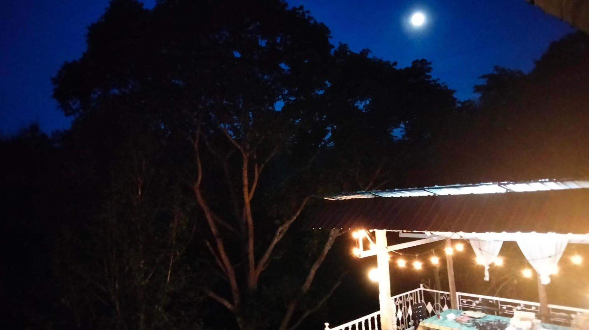 Balmy Hideout Cafe & Homestay Ban Huai Kaeo Exteriör bild