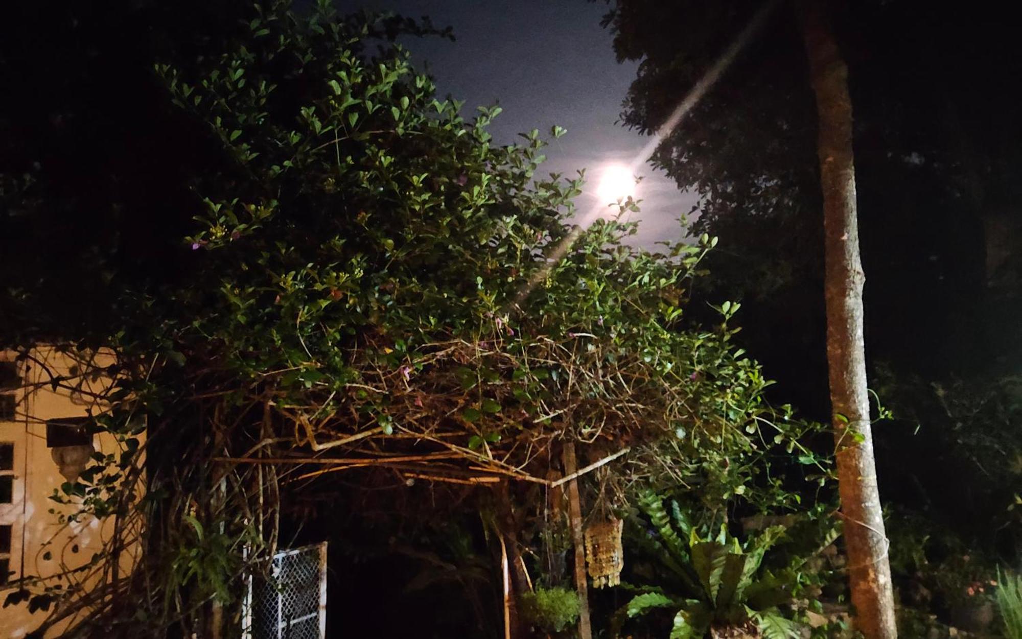 Balmy Hideout Cafe & Homestay Ban Huai Kaeo Exteriör bild