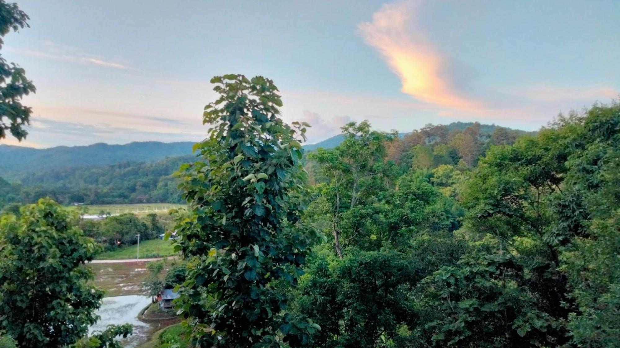 Balmy Hideout Cafe & Homestay Ban Huai Kaeo Exteriör bild