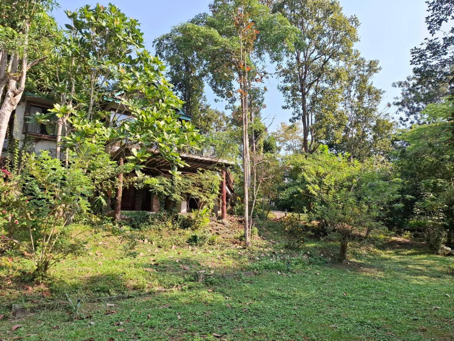 Balmy Hideout Cafe & Homestay Ban Huai Kaeo Exteriör bild