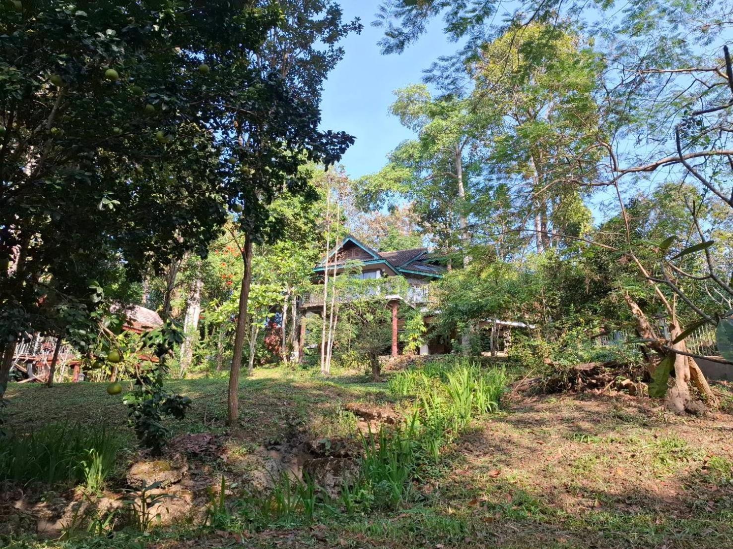 Balmy Hideout Cafe & Homestay Ban Huai Kaeo Exteriör bild